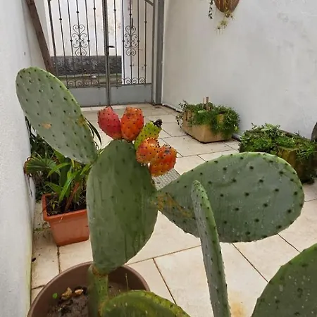 La Corte Dei Limoni * Nardò