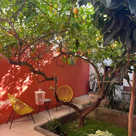La Corte Dei Limoni Apartamento Nardò