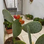 La Corte Dei Limoni * Nardò