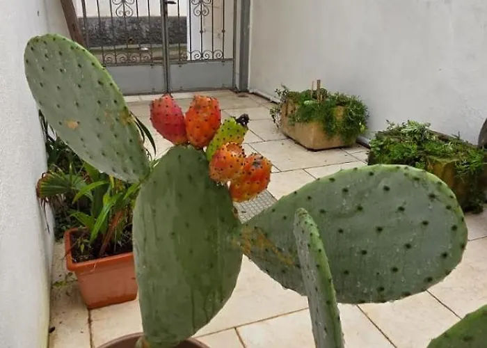 La Corte Dei Limoni * 나르도